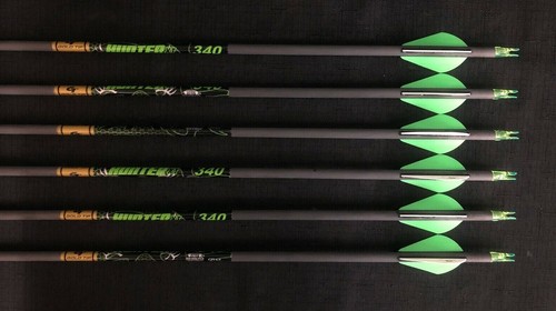 Gold tip hunter - xt, 340